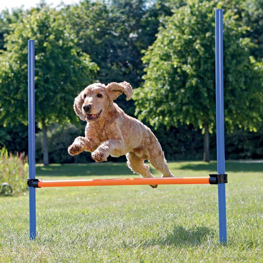 Agility aitaeste Trixie 123 x 115 cm