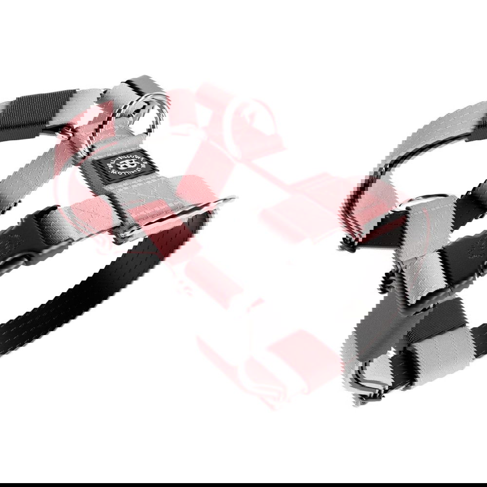 BullyBillows TRI valjaat, vaaleanpunainen (XXS)