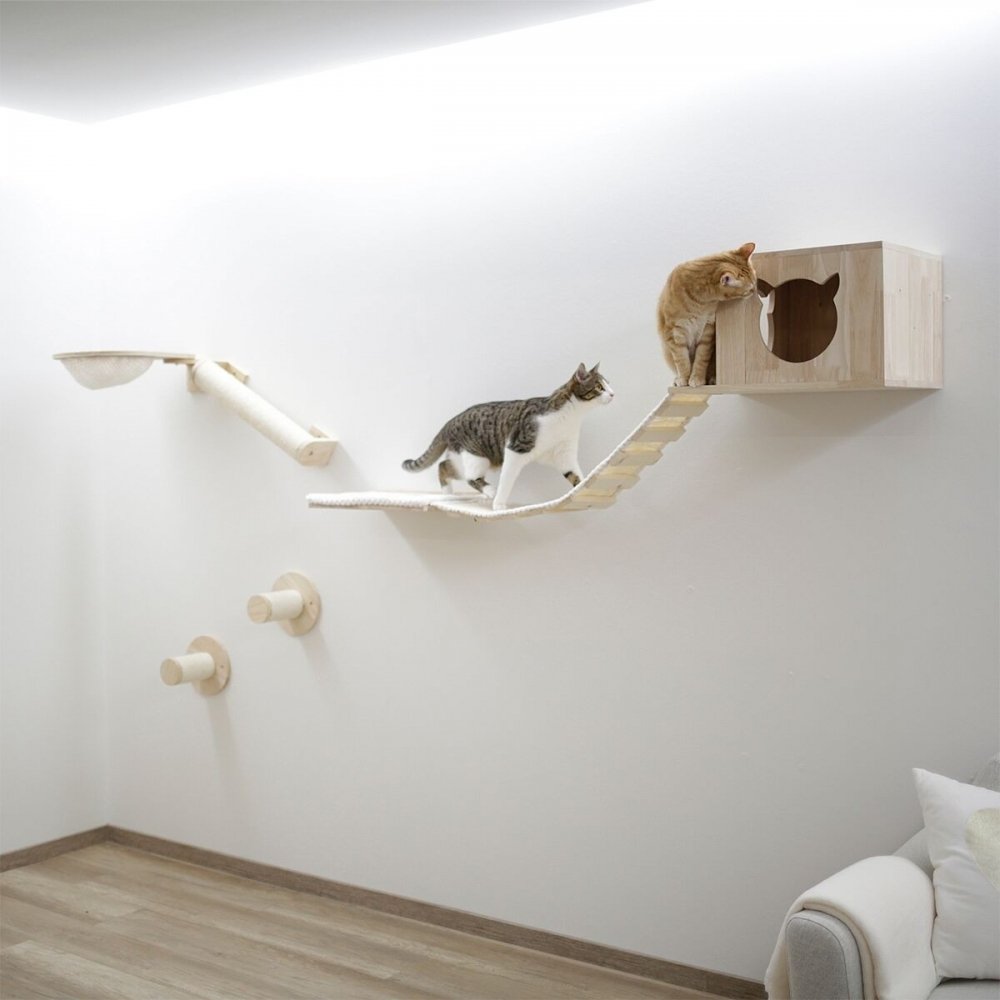 Kissan puinen kiipeilyseinä Anden