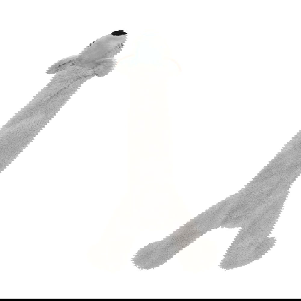 Little&Bigger 1 Earth 4 Paws flatties koala (35 cm)