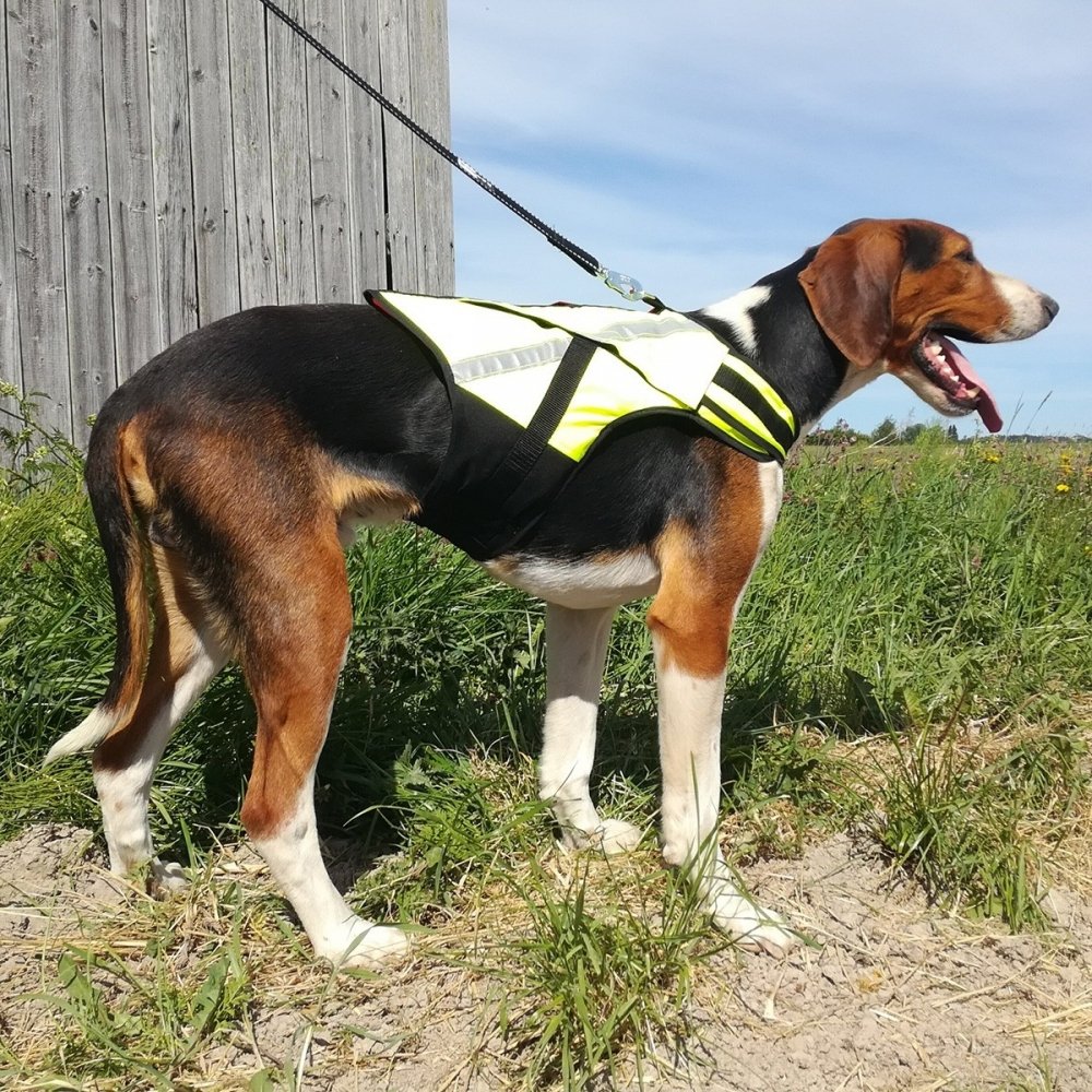 Koiran metsästysliivi Rymy, Kardog (S)