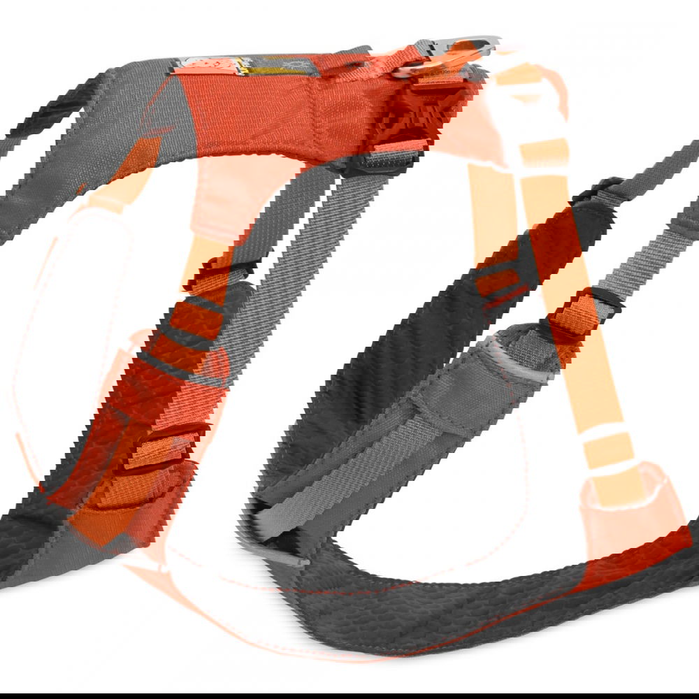 Ruffwear Hi&Light valjaat, oranssi (XXS)