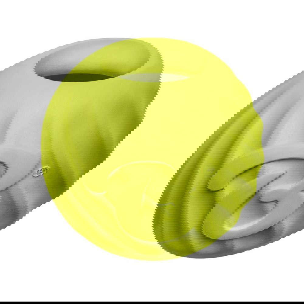 Benebone Bounce Ball