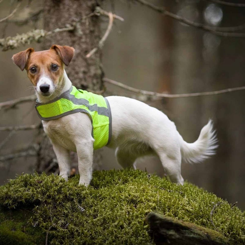 FinNero Atte huomioliivi, keltainen (XS)