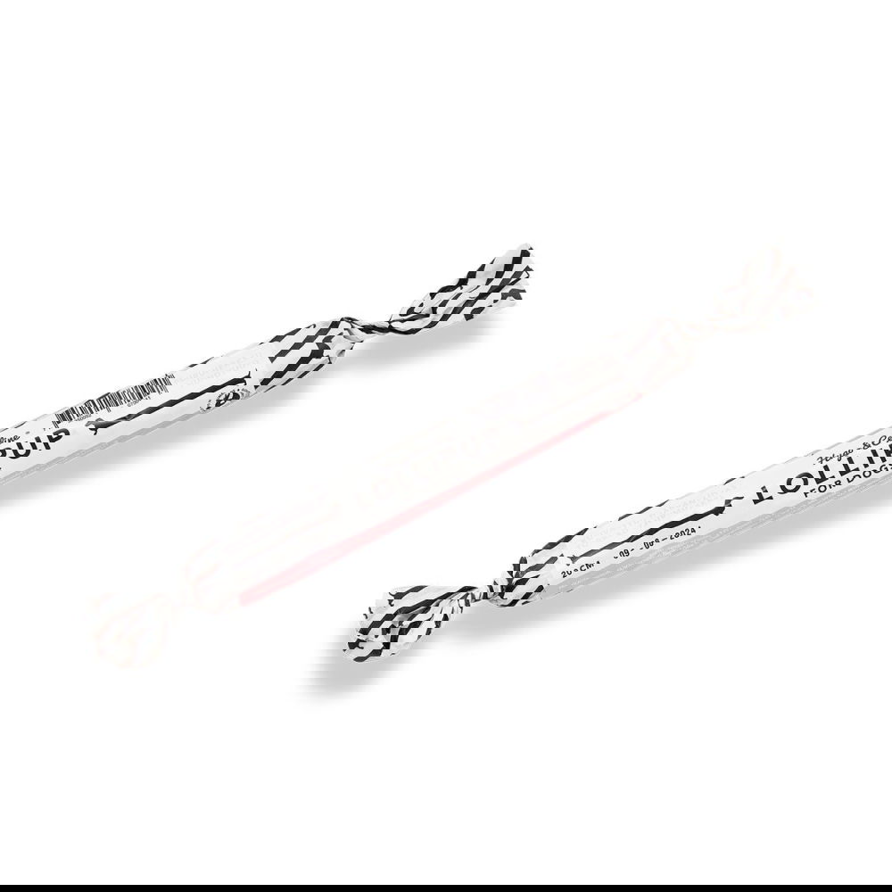 Hugo&Celine Lollipup