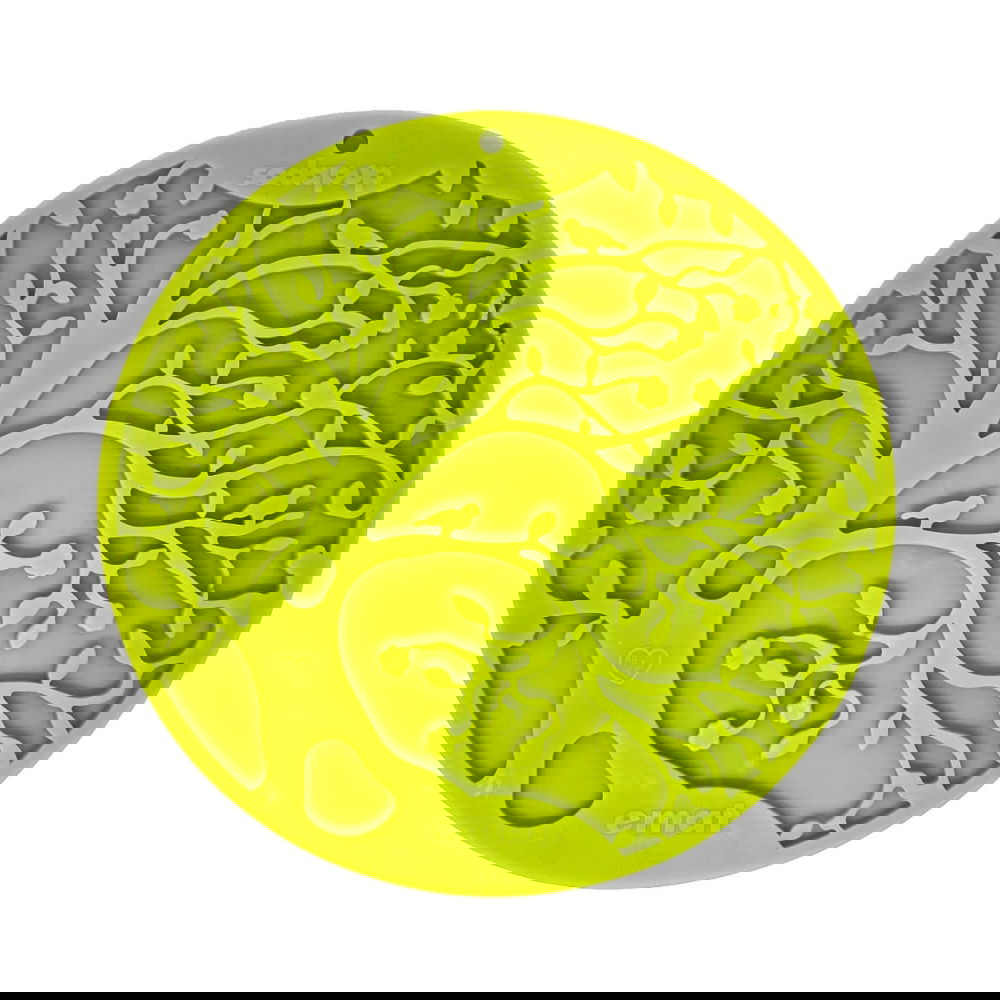 Nuolumatto imukupeilla SodaPup Tree of life