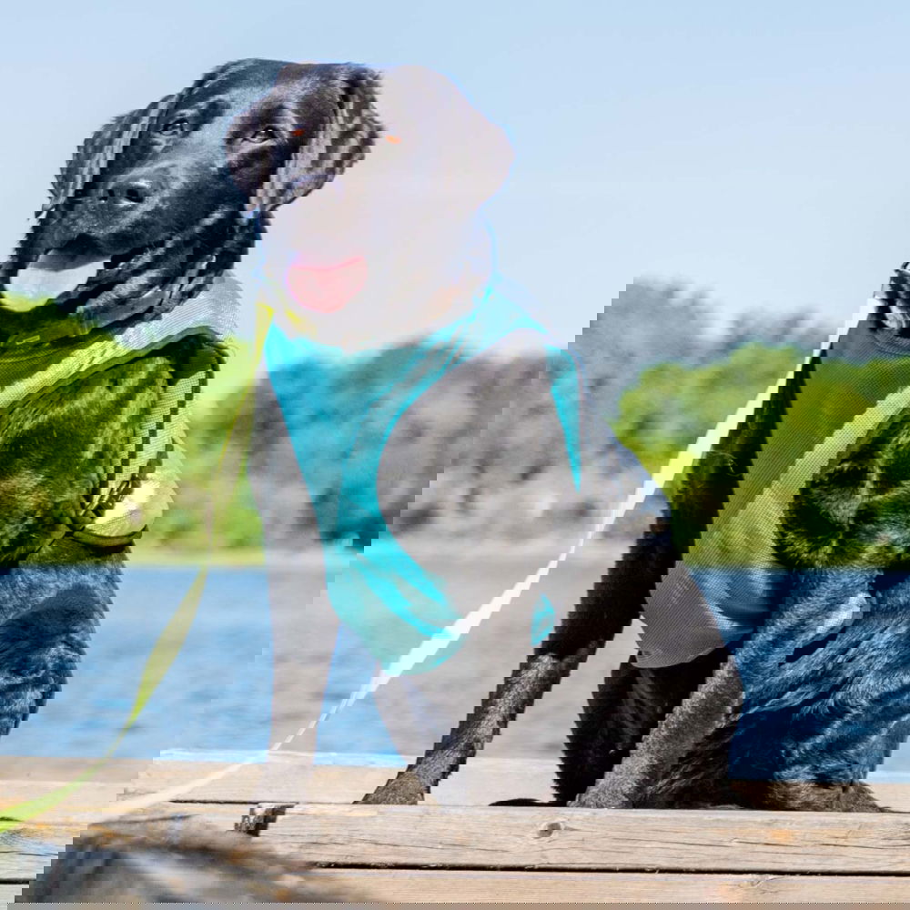 Viilennysliivi Feel Active XTR, turkoosi (XS)