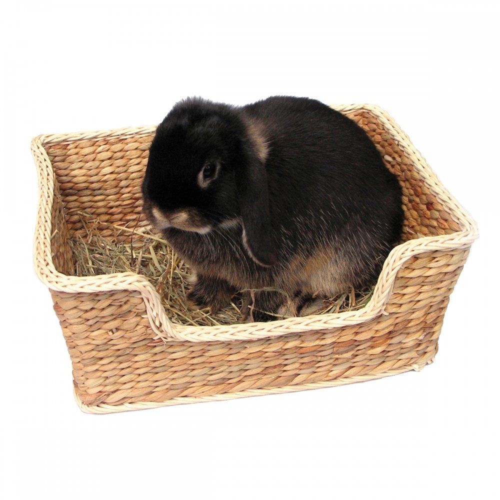 Peti Rosewood Chill 'n' Snooze Peti Rosewood Chill 'n' Snooze