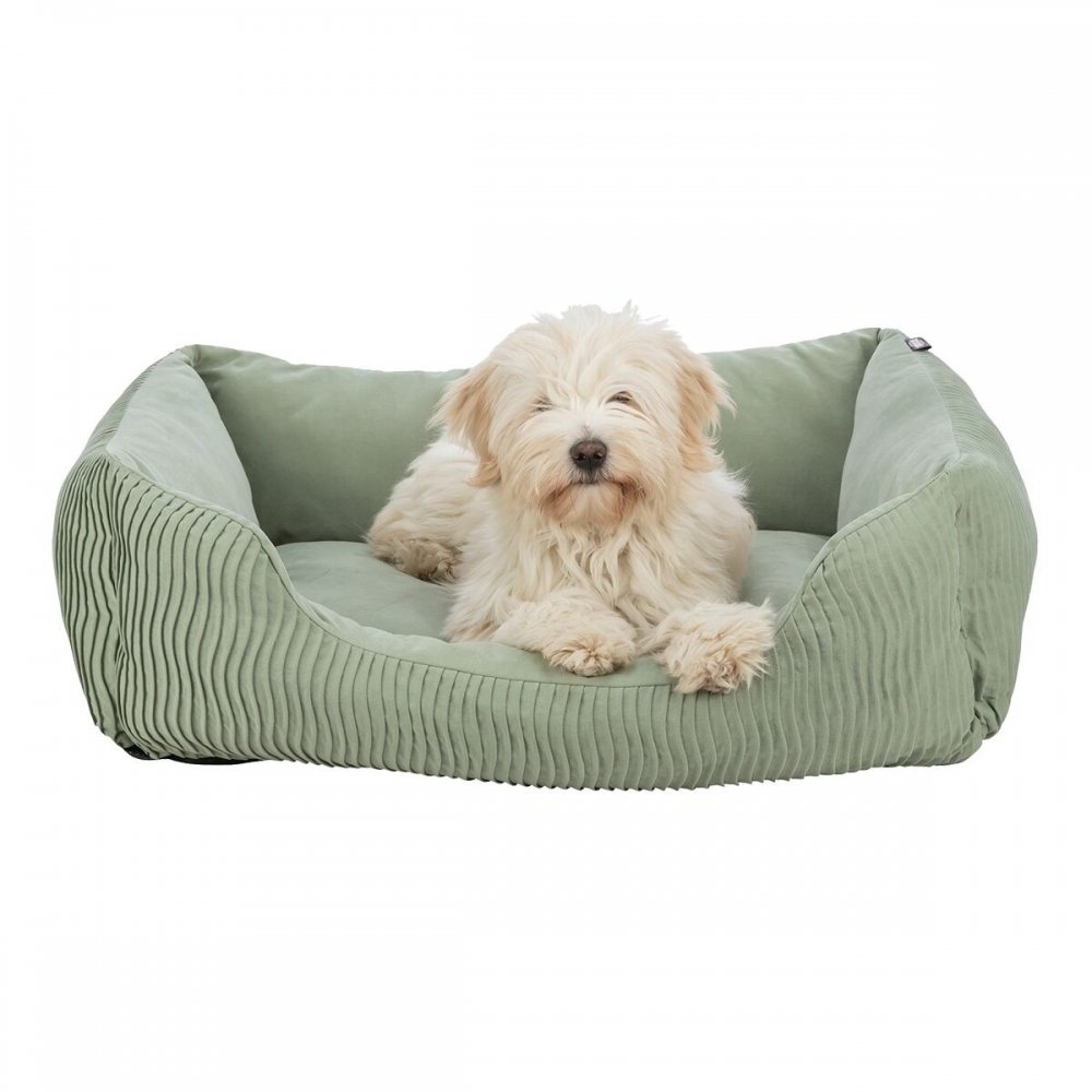 Trixie Marley reunallinen peti, salvia (S)