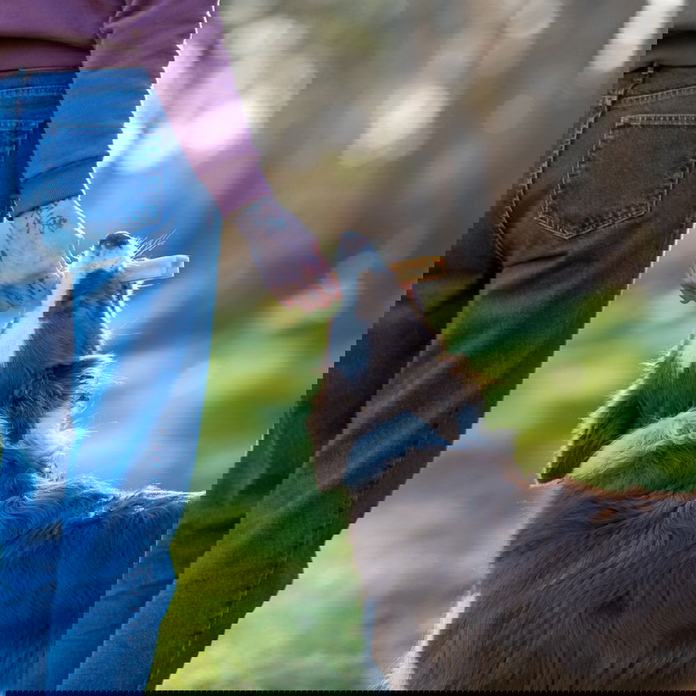 Effe Chews juustopuruluu, tilli (S)