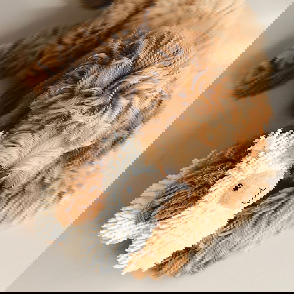 Beeztees Eco Sheep Jovi