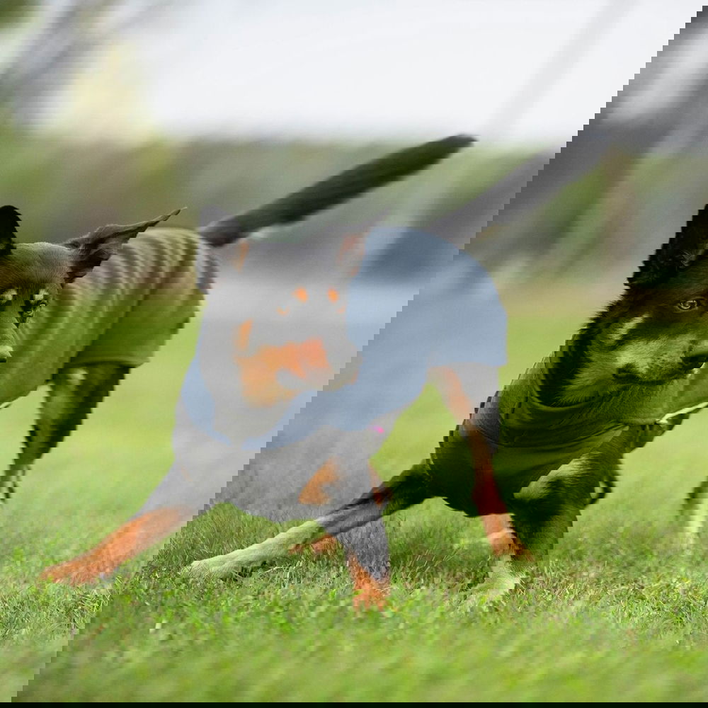 JumppaPomppa Midnight (25)