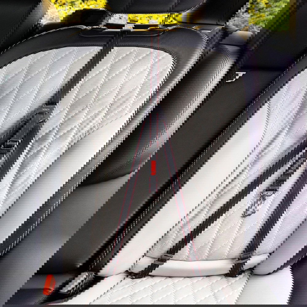 Koiran turvavyö KONG Ultimate