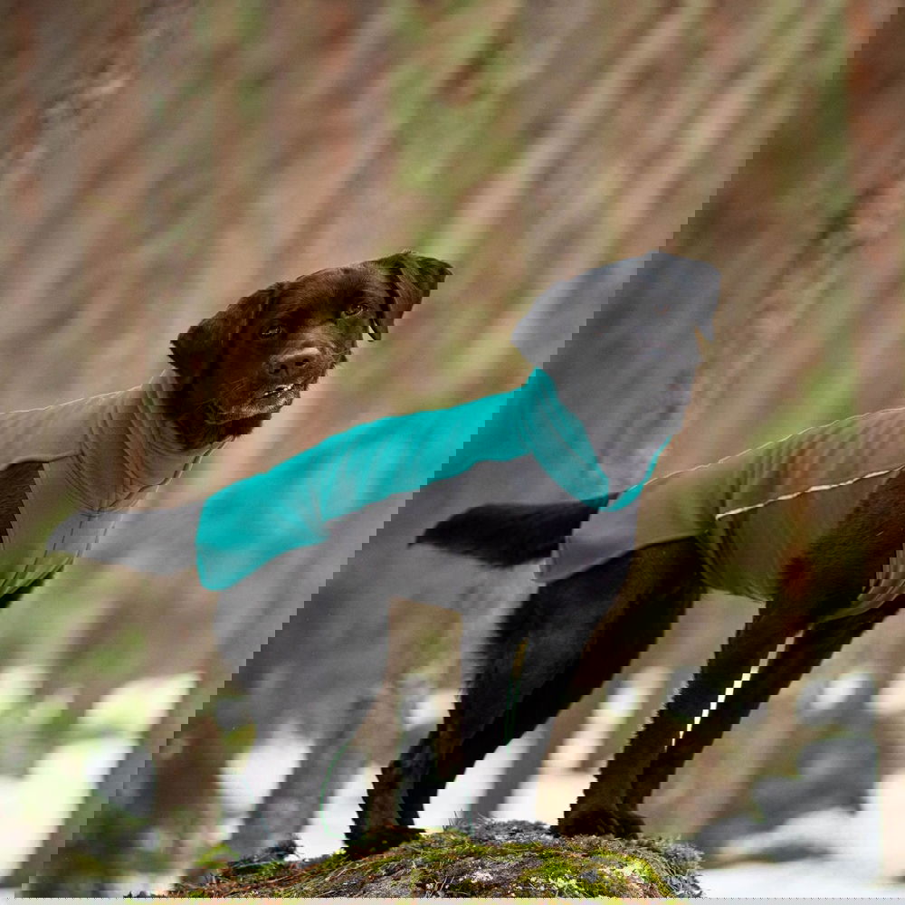 JumppaPomppa Forest (80)
