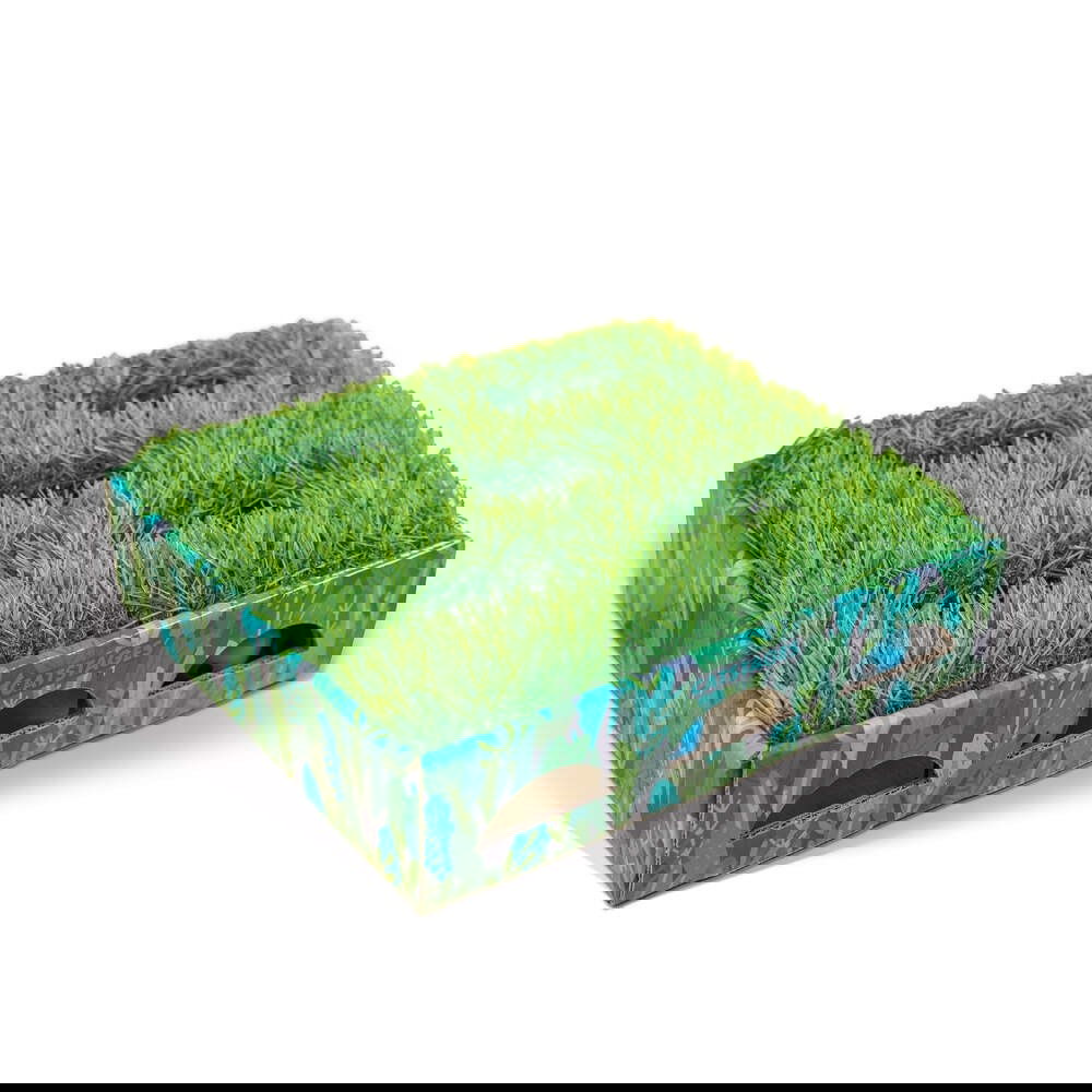 Catstages Grass Patch Hunting laatikko