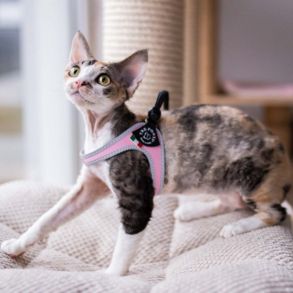 Tre Ponti Easy Fit valjaat, vaaleanpunainen (1,5)