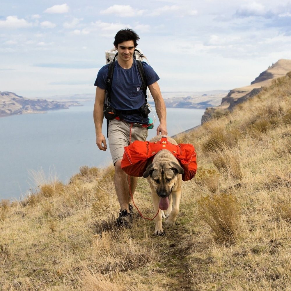 Ruffwear koiran reppu Palisades Pack, punainen (S)