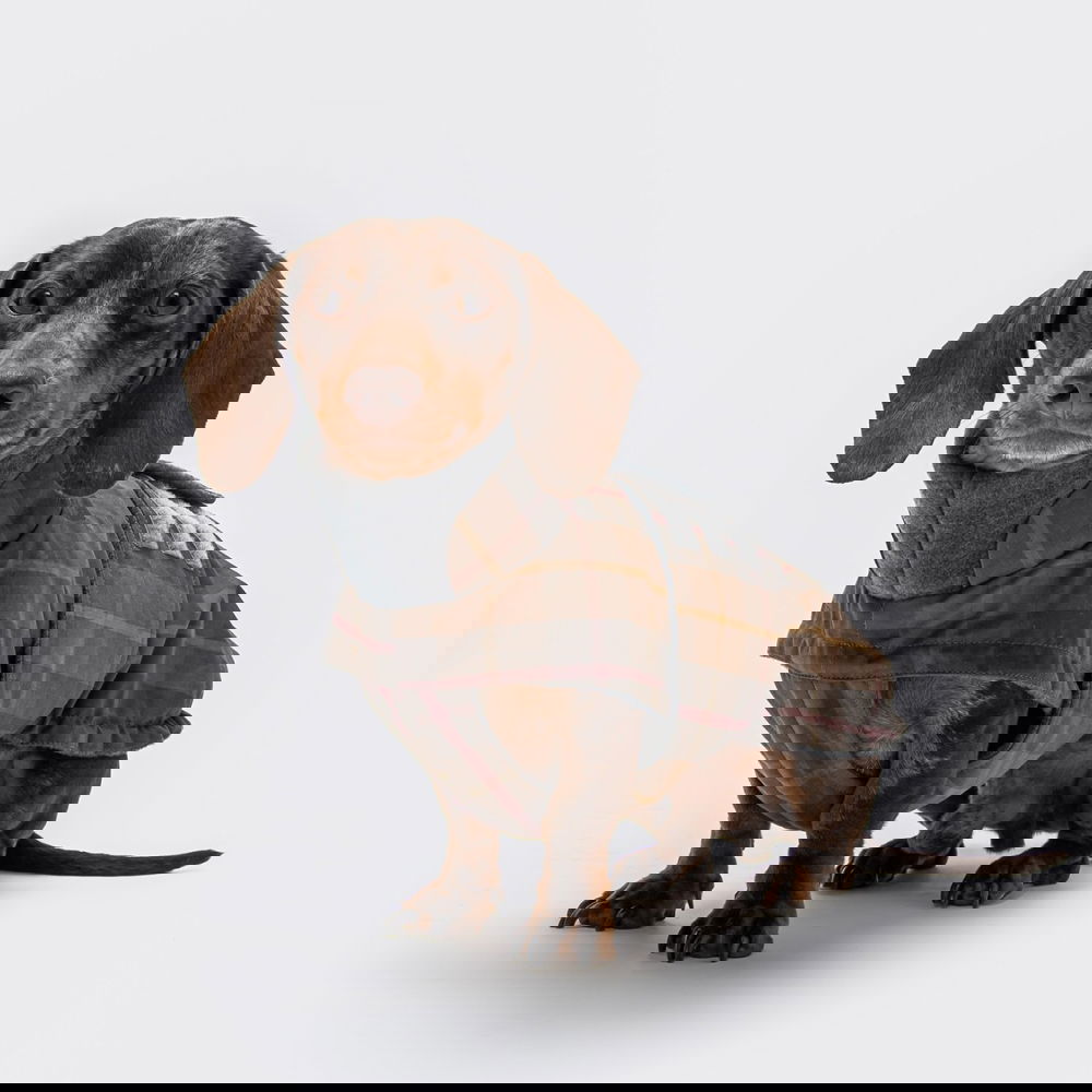 Mäyräkoiran takki Cloud7 Brooklyn Waxed Tartan (2)