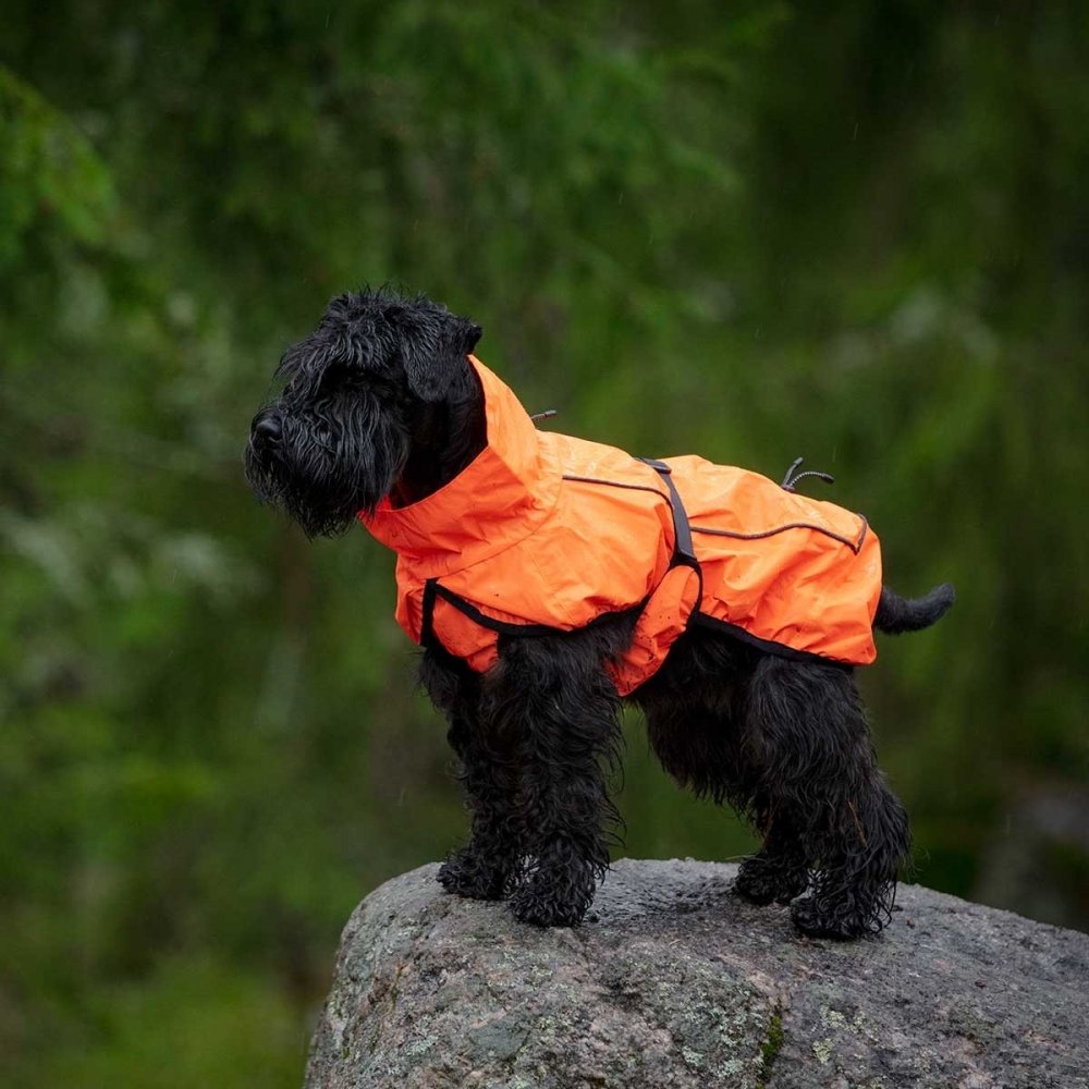 Koiran heijastava sadetakki Feel Active Color, oranssi (20 cm)