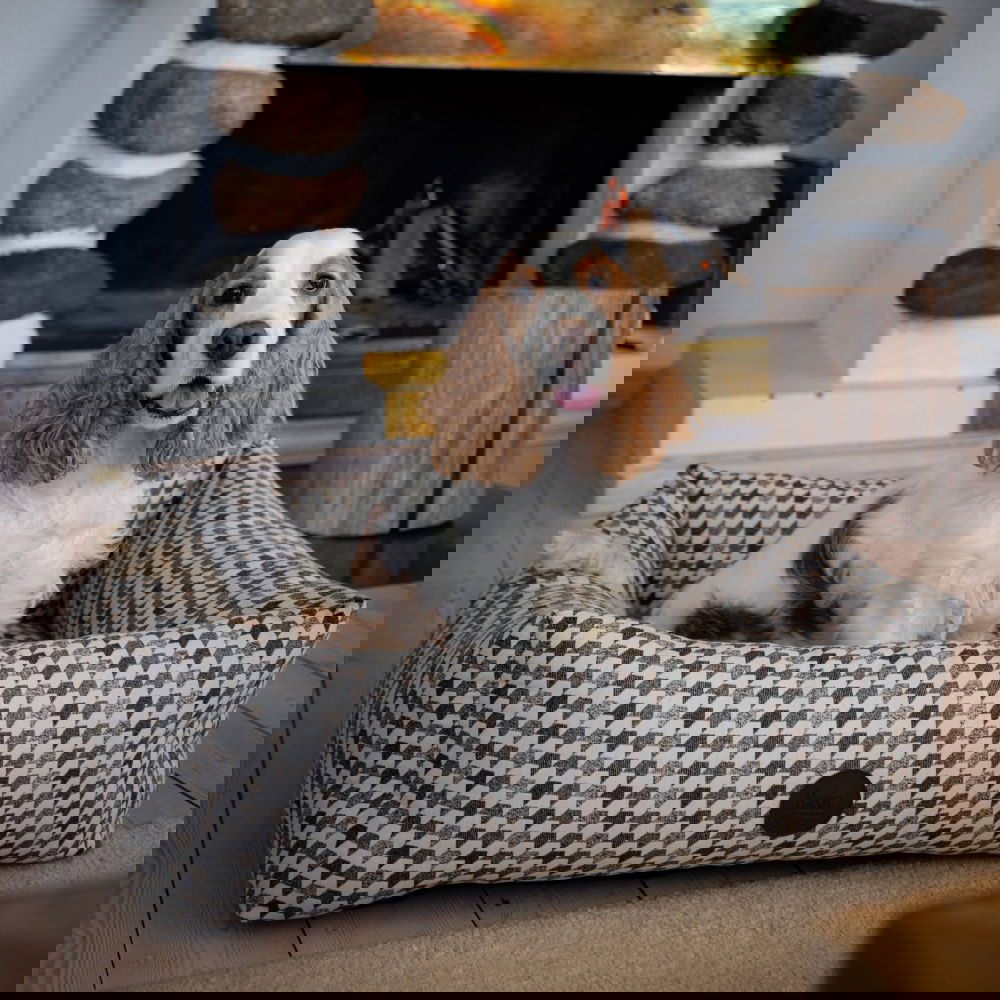 Basic Premium koiran peti (70 x 60 cm)