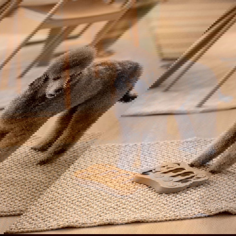 Aktivointipeli L&B Shuffle Bone M