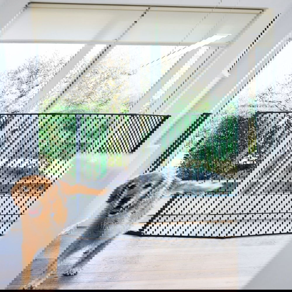 Korkea ja säädettävä koiraportti DogSpace Rocky, musta 90-221 x 104,5 cm