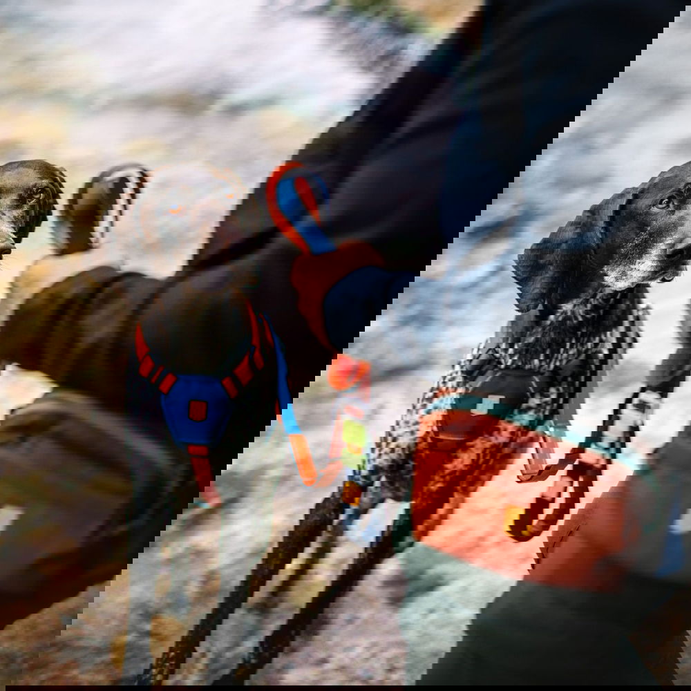 Woolly Wolf Color Block monitoimitalutin, Terracotta Mix