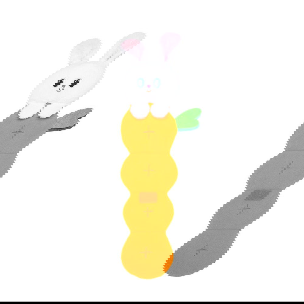 Beeztees Plush Hide N Seek Carrot