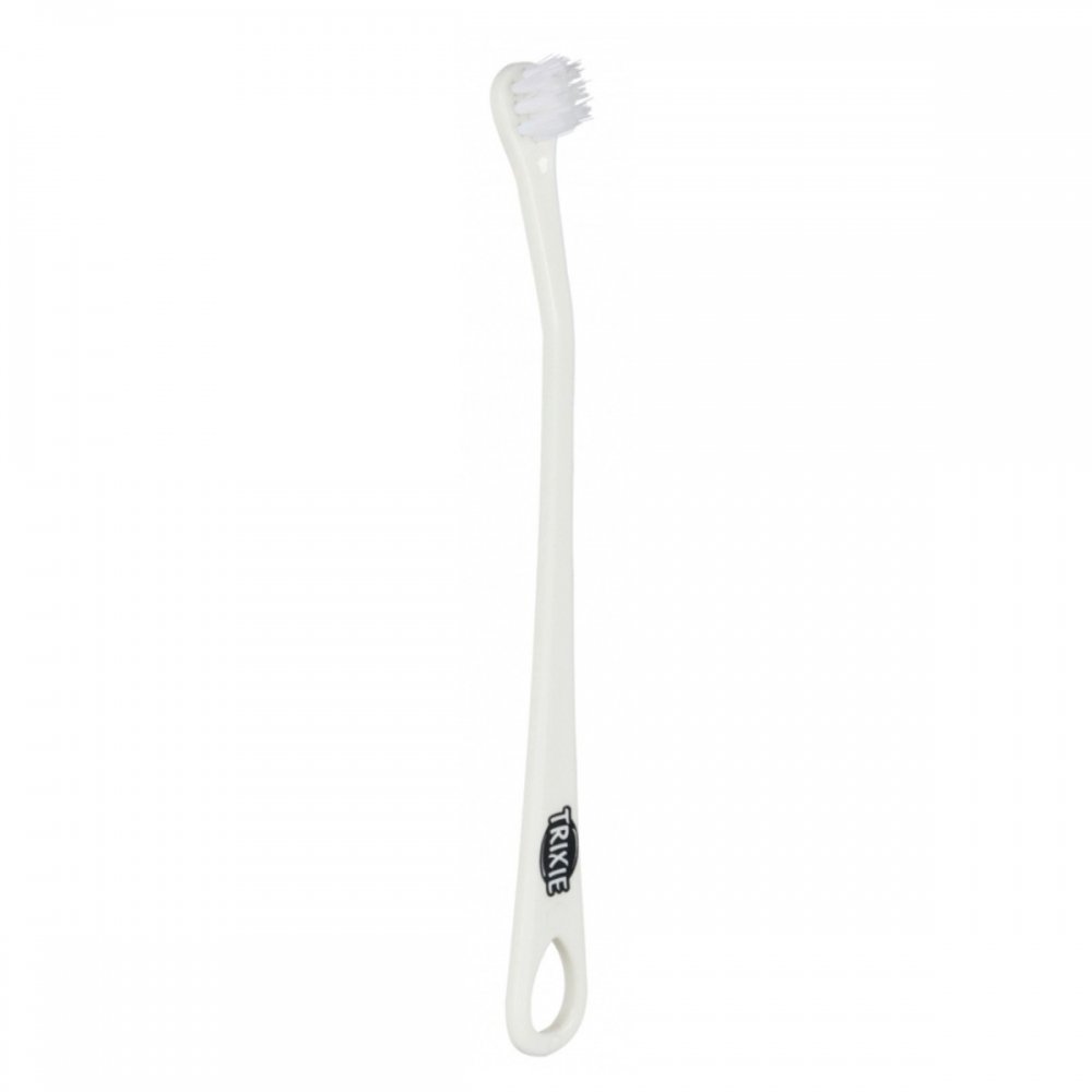 Hammasharjat pienille koirille ja kissoille