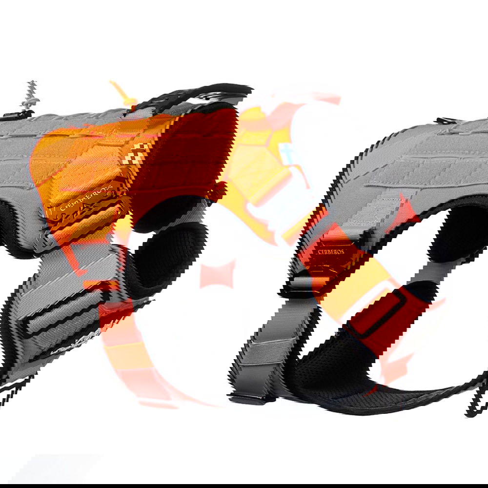 Cerberos Tactical valjaat koiralle, oranssi (S)