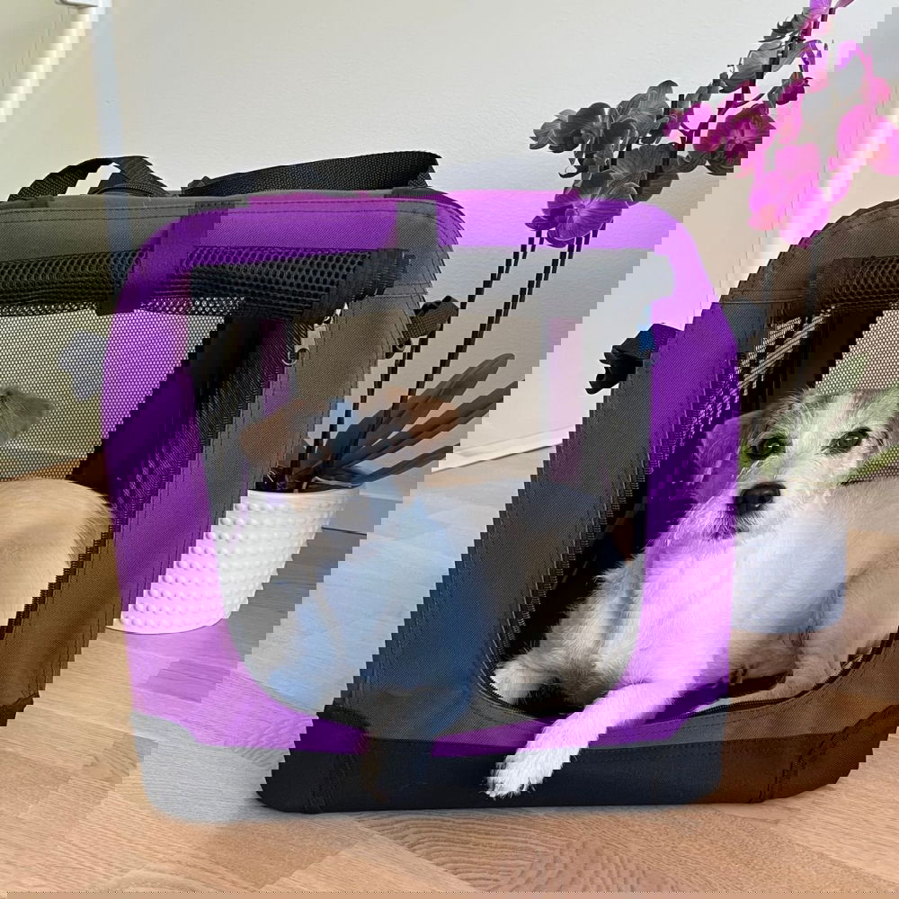 Nylonhäkki PetEasy, violetti (XXXL)