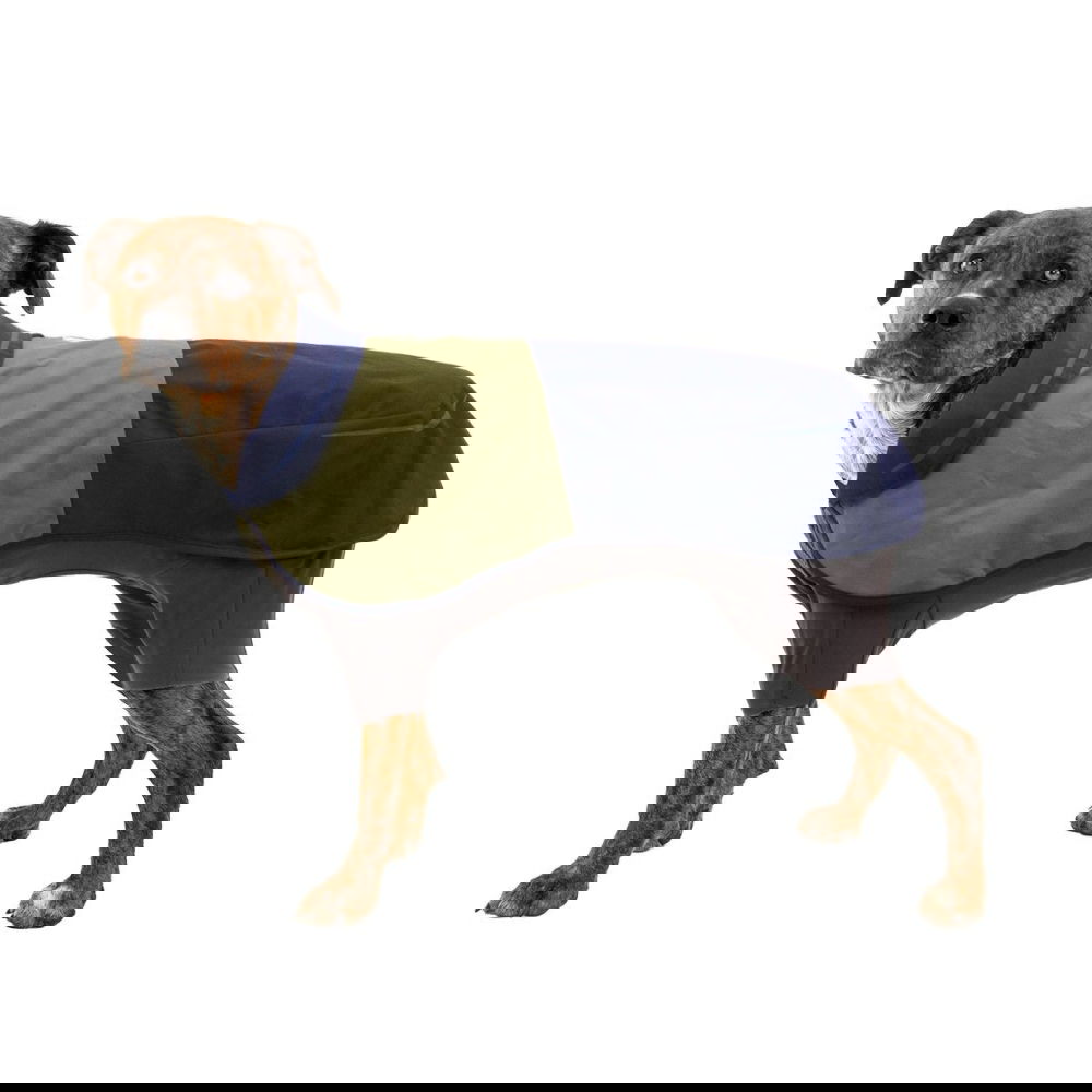 Ruffwear Sun Shower sadehaalari, Midnight Blue (XXS)