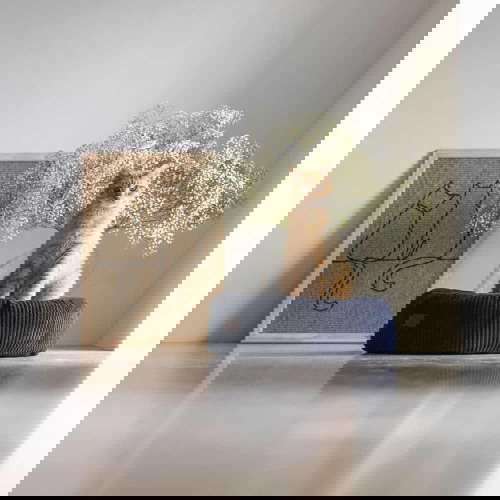 Designed by Lotte makuualusta ribbi