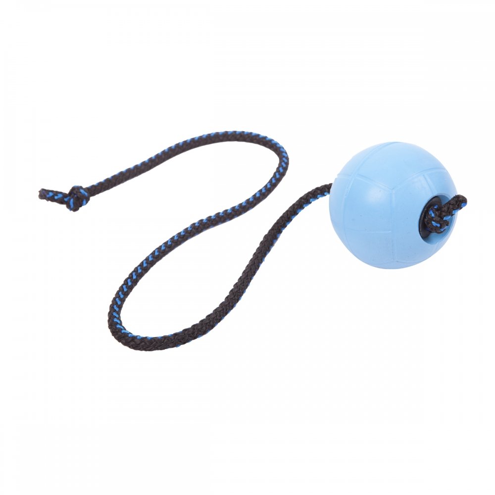 Pro Dog Soft Rubber narupallo 60cm (Turkoosi)