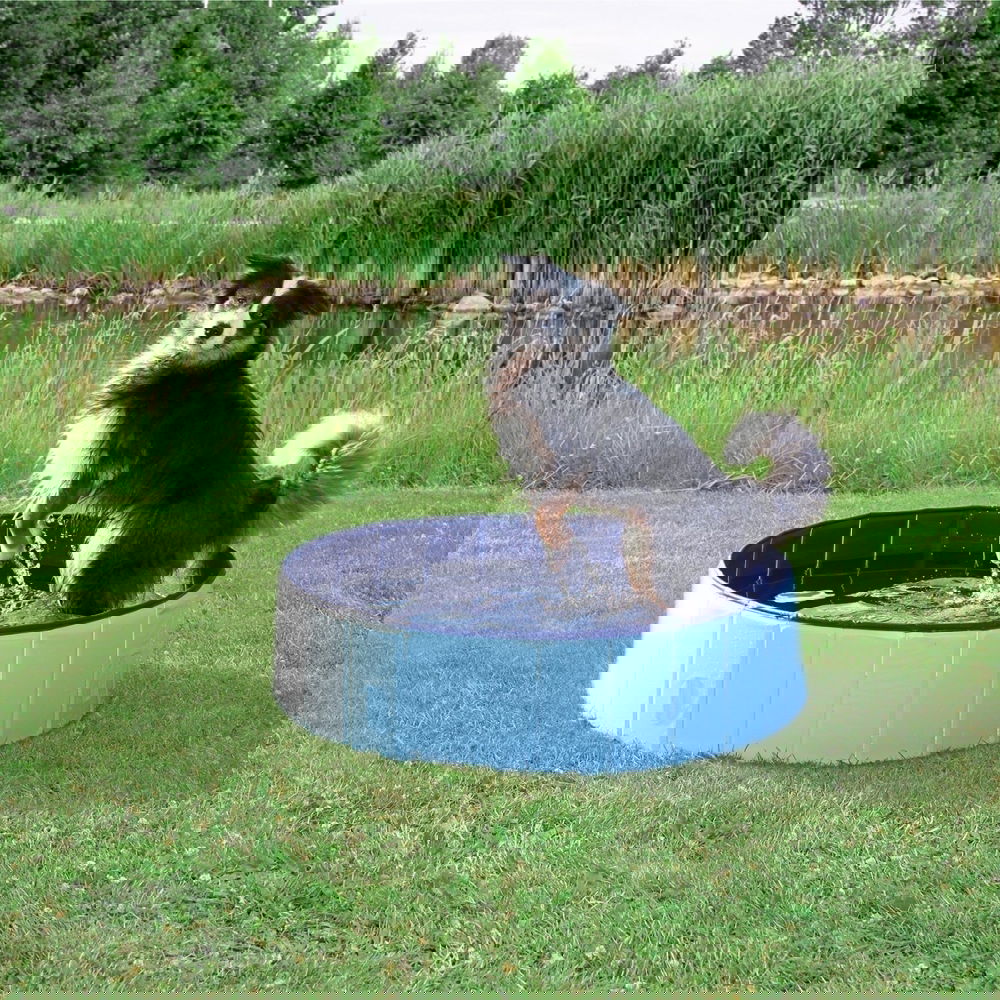 Trixie-uima-allas koiralle (80 cm)