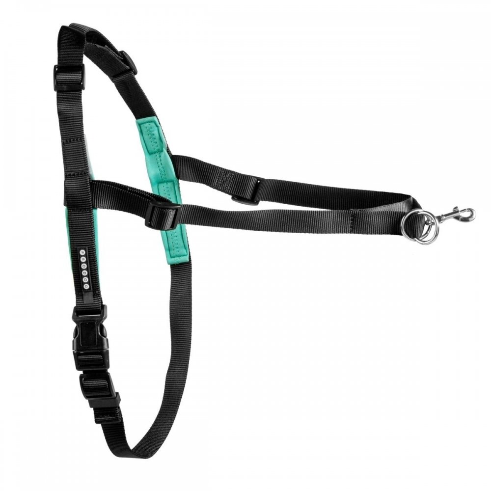 Reaktiovaljaat Pro Dog Control (S)