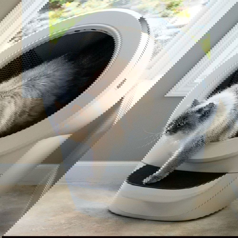 Whisker Litter-Robot 4, valkoinen