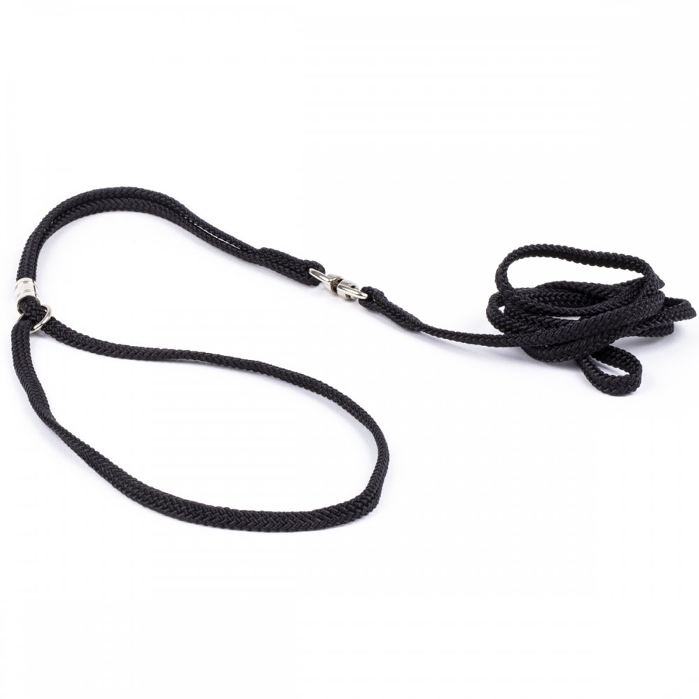 Näyttelyhihna Show Dog pyöreä, musta (3 mm)