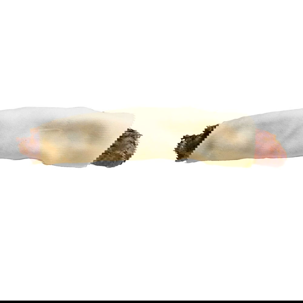 RAUH! Puruluu Holmes