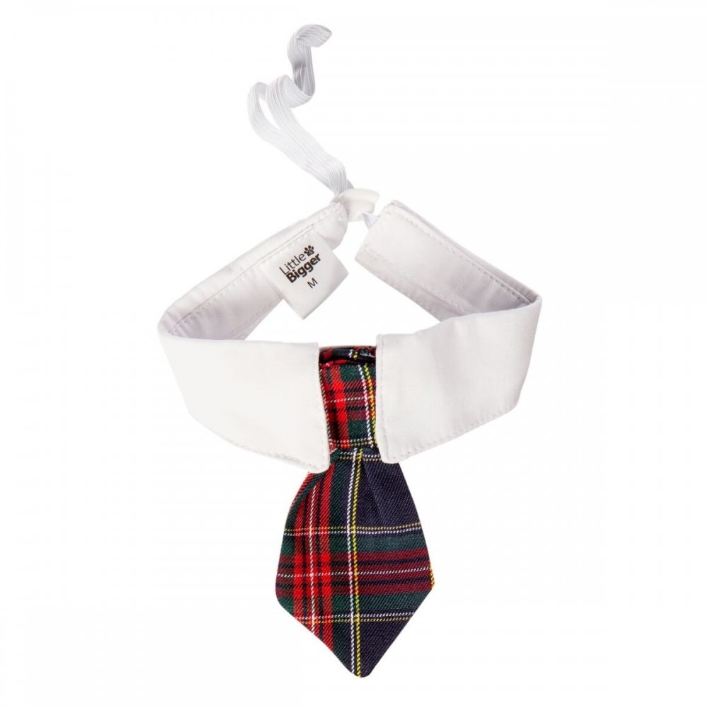 Koiran solmio Little&Bigger Festive ruutukuvio (L)