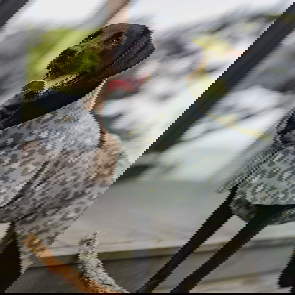 PAIKKA Visibility Raincoat Lite -sadetakki, green leo (20 cm)