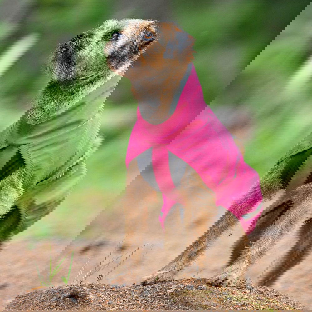 KuoriPomppa, pinkki (70)