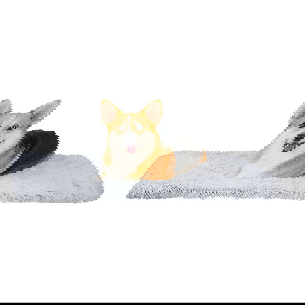 Best friend by sheri peitto, huurre 75 x 100 cm