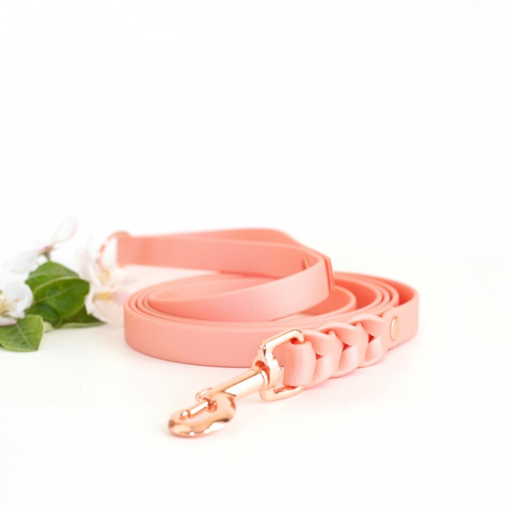 Tyylivoitto Braid talutin, persikka/ruusukulta (16mm x 200cm)