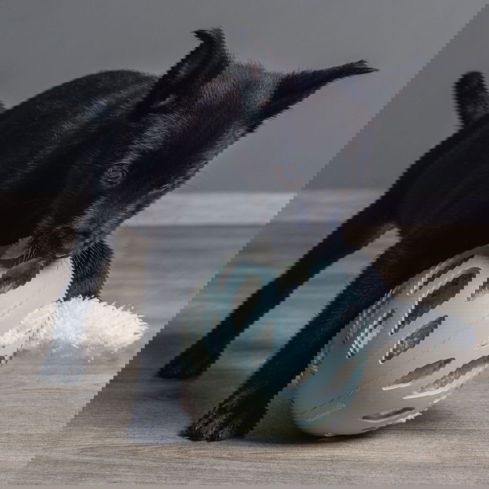 Beezteez Odoro Kumipallo pennulle