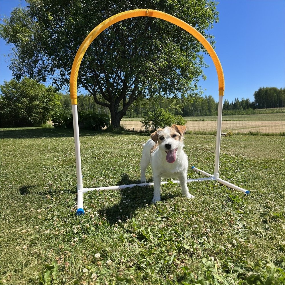 Hoopers Hoop PetEasy