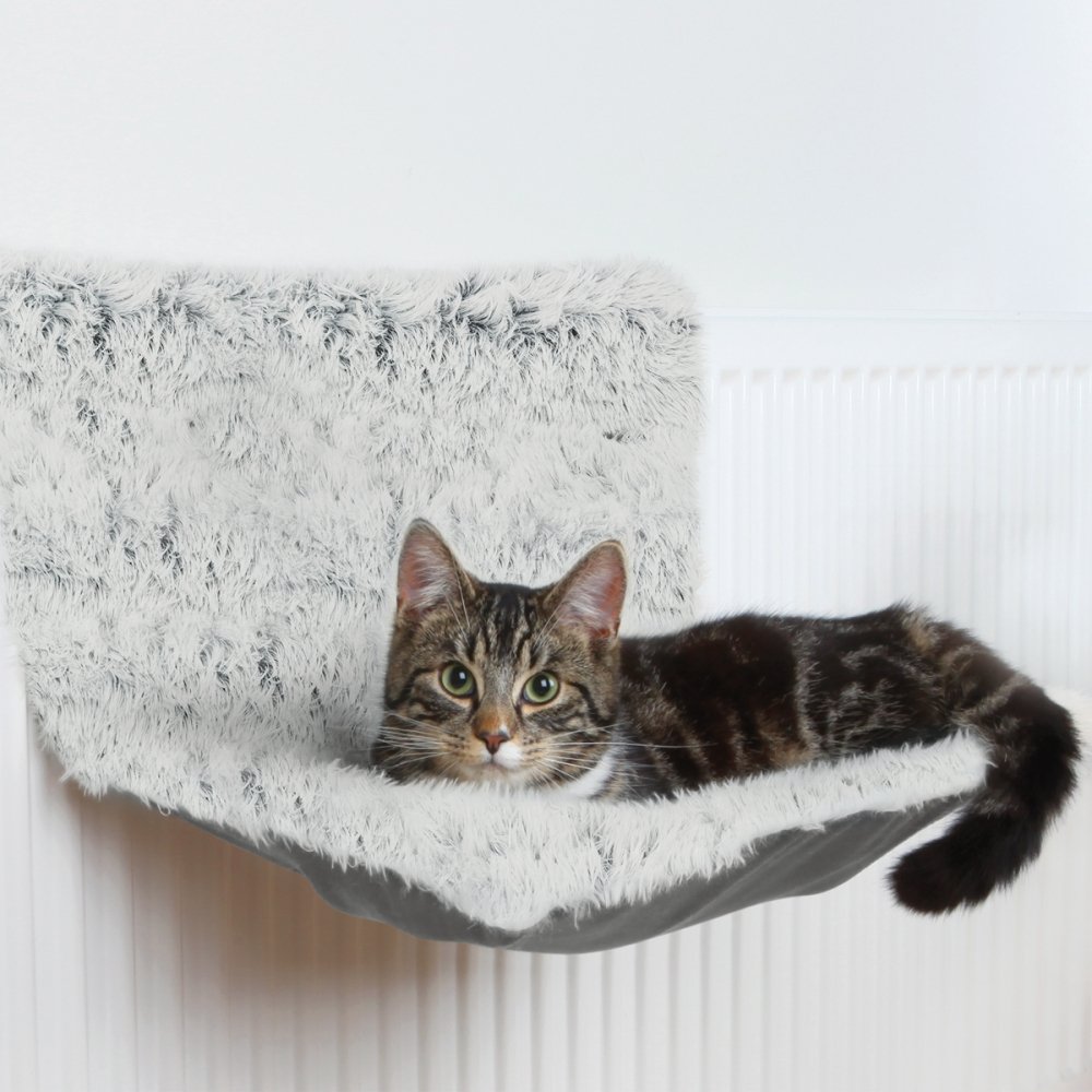 Trixie patteripeti Harvey