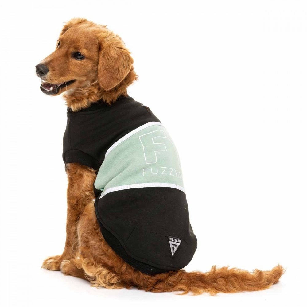 FuzzYard koiran collegepaita, musta/salvia (1)