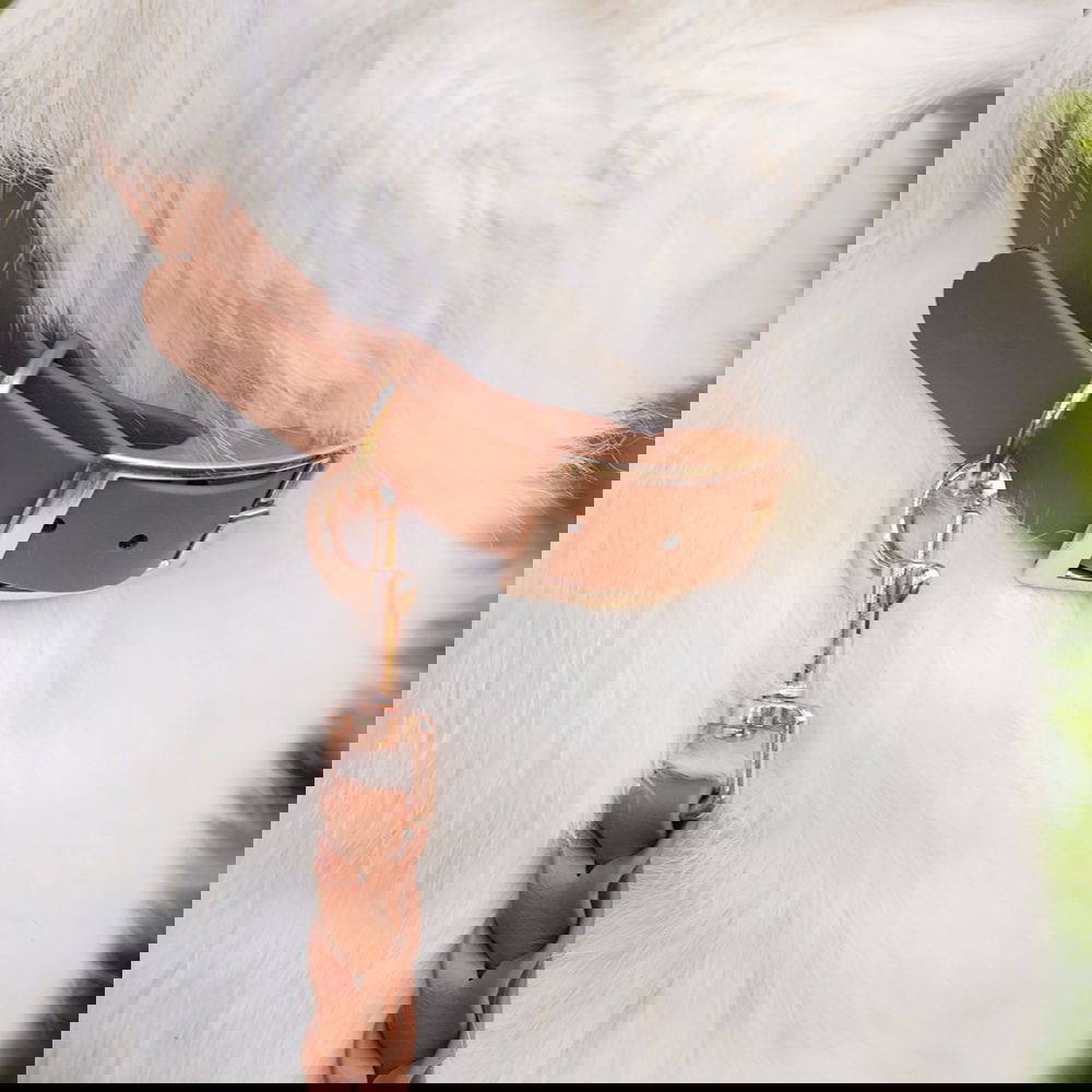 Tyylivoitto Classy panta, konjakki/ruusukulta (M)