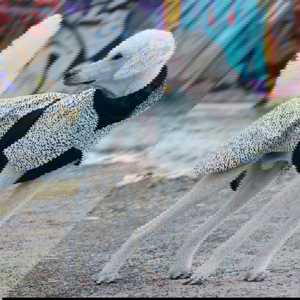 PAIKKA Heijastava sadetakki 2.0 (20 cm) PAIKKA Heijastava sadetakki 2.0 (20 cm)